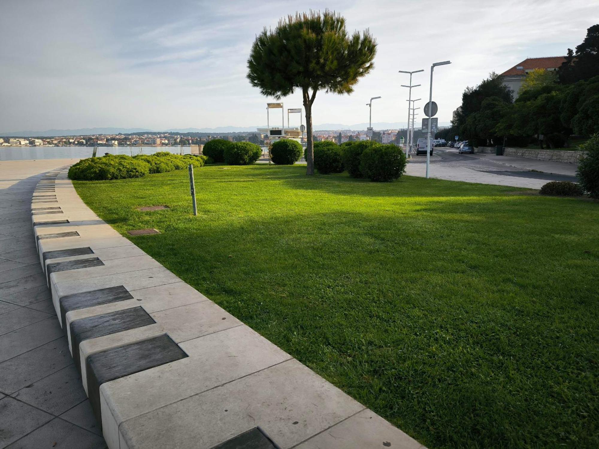 Charlie Zadar